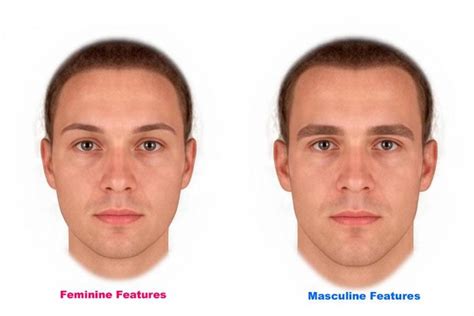 Womens Preference For Masculine Faces Not Linked To Hormones In 2021