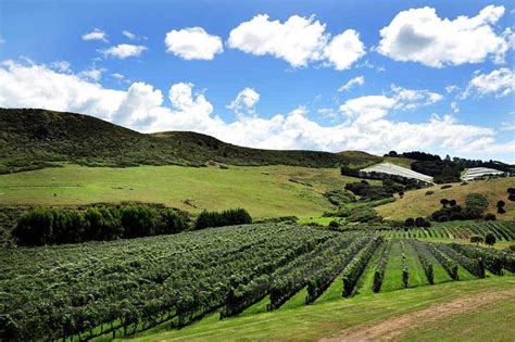 11 Must Try Waiheke Island Wineries And Vineyards For Wine Lovers