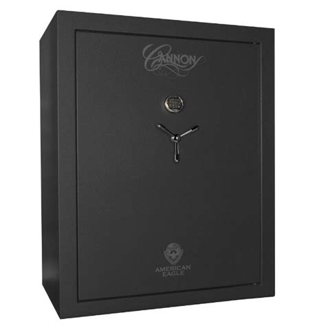 Cannon Ae594830 60 72 Gun And Fire Resistant Safe City Safe And Vault