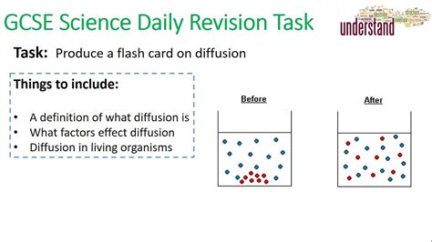 Gcse Science Daily Revision Task 7 Diffusion Youtube