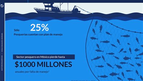 Deficiente Evaluación Y Gestión Pública Amenazan La Pesca En México