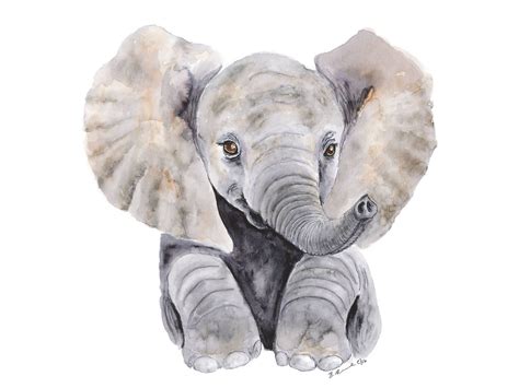 Related Image Baby Animal Art Baby Animal Drawings Elephant Nursery