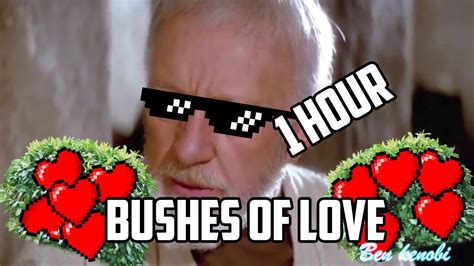 Bushes Of Love 1 Hour Loop Youtube