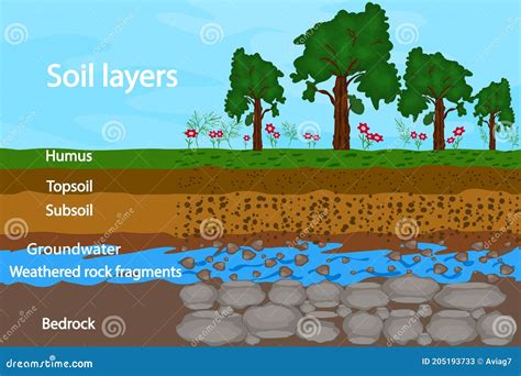Soil Layers Diagram For Layer Of Soil Soil Layer Scheme Stock Vector