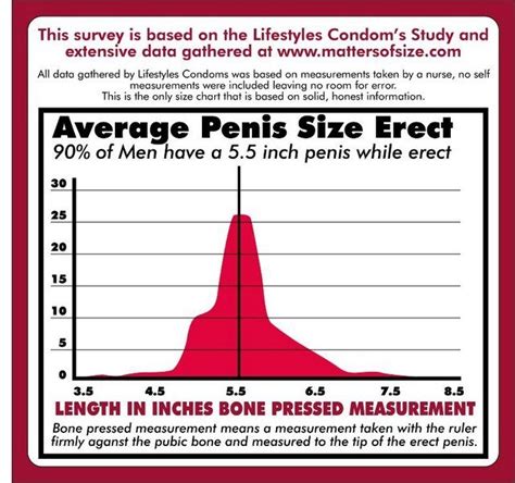 Average Porn Star Penis Size Chart Telegraph