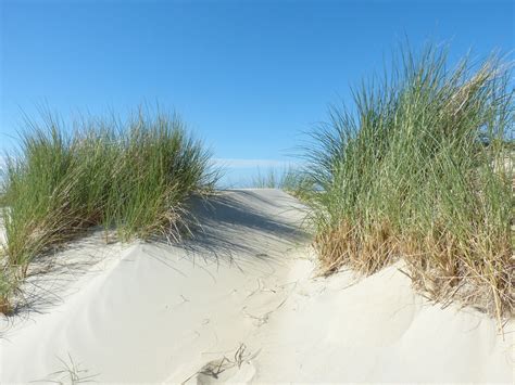 Dünen Nordsee Strand · Kostenloses Foto Auf Pixabay