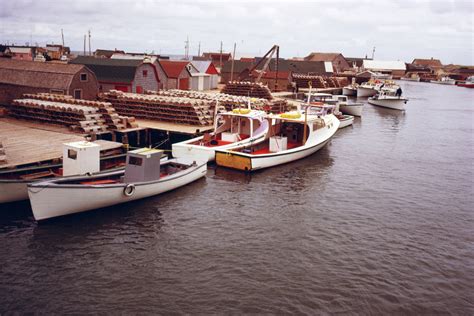 Boats Docked By Buildings In River Free Photo Download Freeimages