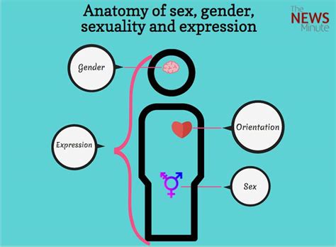 Understanding Sex And Gender They Are Connected But Not