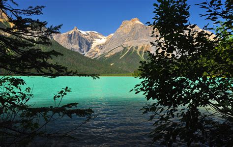 Laissez Vous Charmer Par Le Parc De Yoho Cette Superbe étendue Sauvage