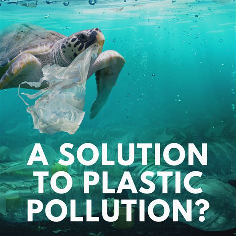 Australias Solution To Plastic Pollution The Unique Idea