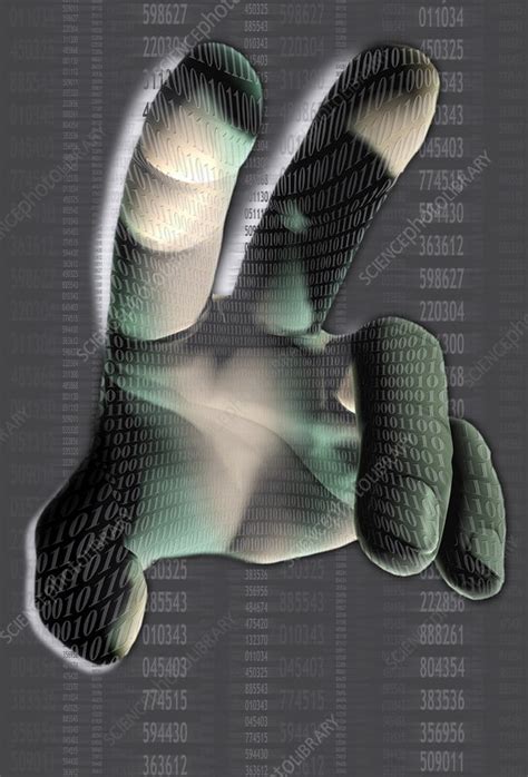 Hand Biometrics Stock Image T9800239 Science Photo Library