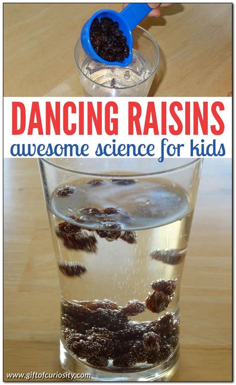 Dancing Raisins Experiment Dancing Raisins Experiment Dancing Raisins Science Experiments