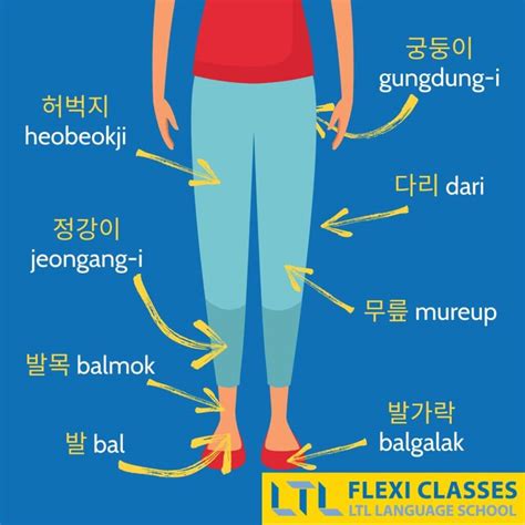 korean beauty standards face eyes and body complete guide