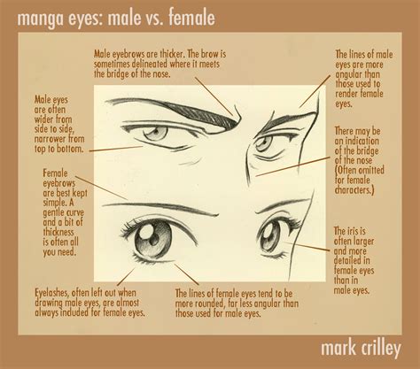 Manga Eyes Male Vs Female By Markcrilley On Deviantart
