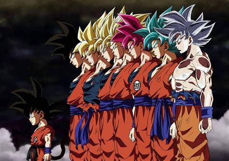 Goku Forms Personajes De Dragon Ball Dragon Ball Dragones