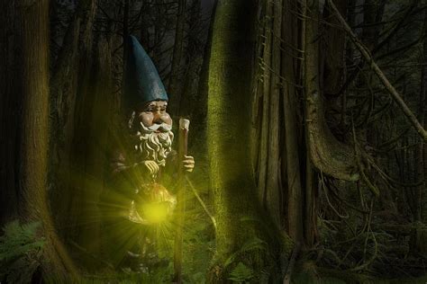 Garden Gnome Traveling Through The Forest At Night Photograph By