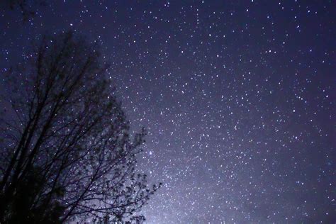 Filenight Sky Stars Trees 02