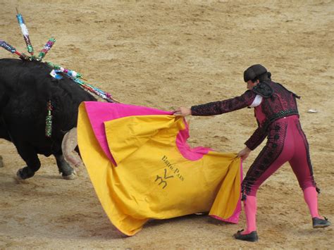 The Controversies Surrounding Bullfighting In Modern Times Madrid