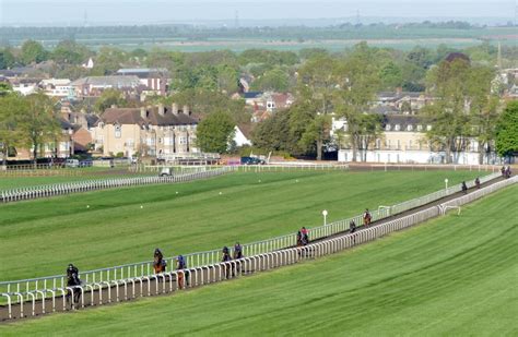 Newmarket A Place Of Wonder For The Racehorse Tdn Look