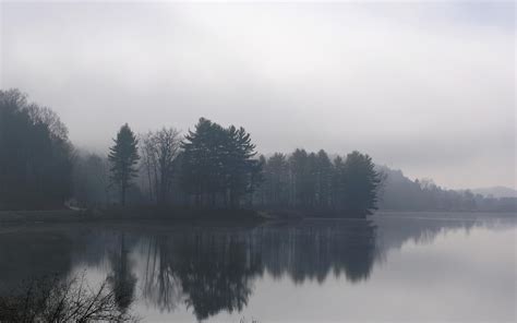 The Lake In Foggy Morning Wallpapers And Images Wallpapers Pictures