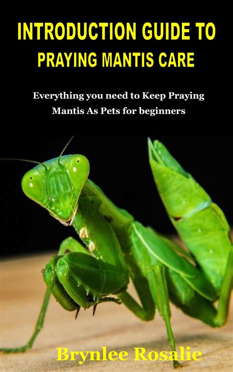 Buy Introduction Guide To Praying Mantis Care Everything You Need To