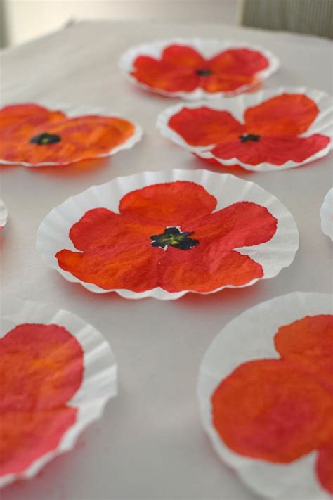Make Poppies With Watercolors Coffee Filters Art For Kids Poppy