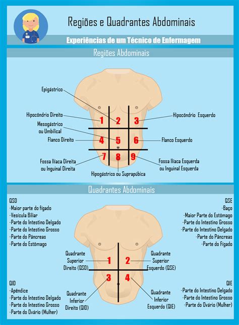 Regi Es E Quadrantes Abdominais Enfermagem Ilustrada Tecnico Em Enfermagem Enfermagem