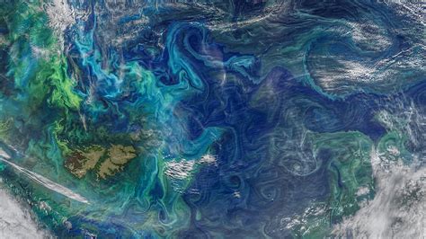 A NASA Satellite Image Of The Southern Atlantic Ocean Showing Phytoplankton Blooms Windows