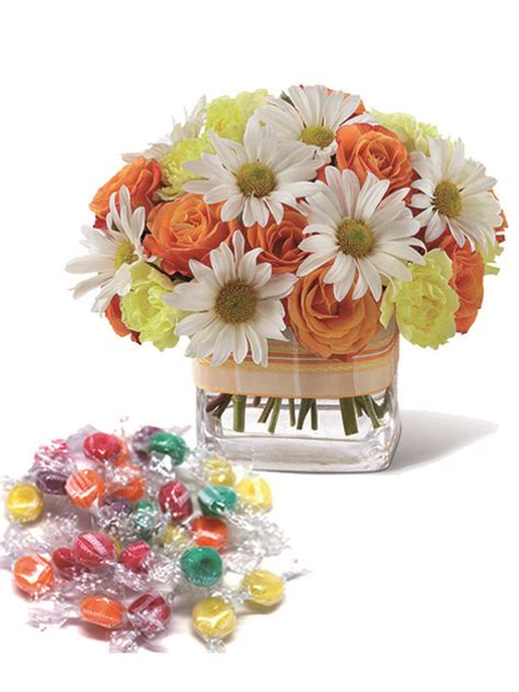Grafica vettoriale la pianta fiore margherita tipo fiore. Rose arancio margherite bianche e caramelle. Un regalo ideale.