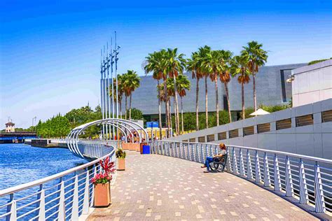 The Top 17 Things To Do In Tampa Bay Florida 2022