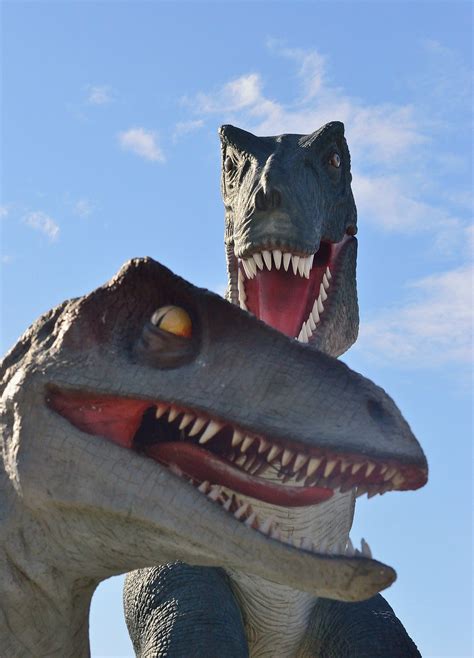 T Rex Tyrannosaurus Rex Dino Ingyenes Fot A Pixabay En Pixabay