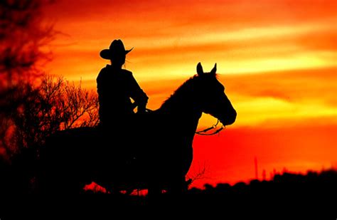 Cowboy Sunset