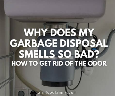 Why Does Garbage Disposal Smells Bad How To Get Rid Of The Odor