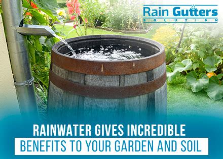 How to build a rainwater collection system. Become Eco-Friendly! Learn The Best Ways to Collect and ...