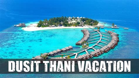 Dusit Thani Maldives Rooms Dining Beach Travel Tips