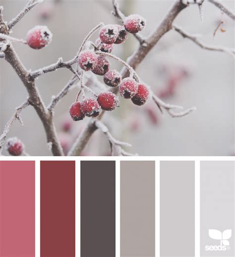 Winter Tones Design Seeds Design Seeds Color Palette Challenge