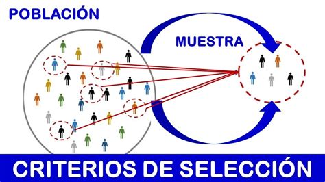 Criterios De Selección Inclusión Y Exclusión Población Muestra