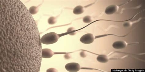 Everything You Need To Know About Sperm Including Male Fertility And