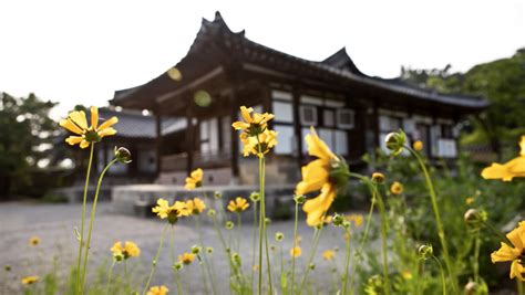 Visit This Traditional Korean Tea House With A Conscience