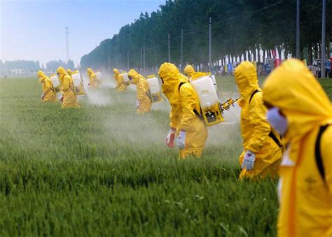 Pesticide Spray Agriculture Farm Farmer Fertilizer Field Dangerous Globe