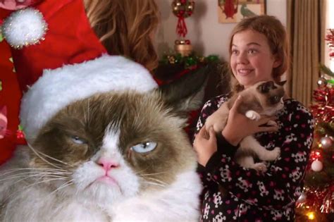 Is This The Worlds Most Miserable Moggy Trailer For Grumpy Cats Worst Christmas Ever Revealed