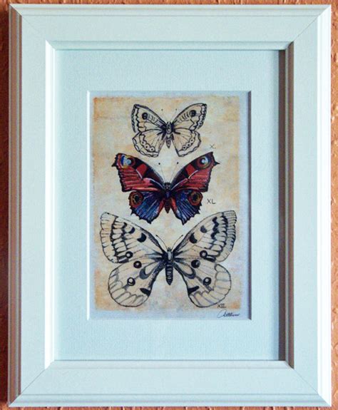Butterfly Art Butterfly Picture Butterfly Painting Butterfly Etsy Uk