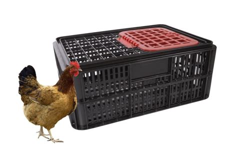 Live Bird Crate With Hatch Black Pi Lb10 Mambos Storage And Home