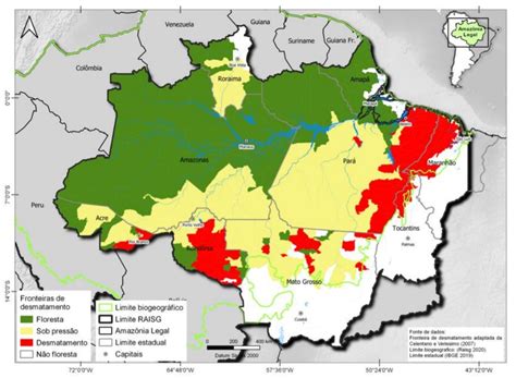 Publicação Fatos Da Amazônia 2021 Mostra Radiografia Atual Da Região Veja Os Principais Dados