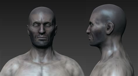 Artstation Human Figure Various Stages Of Decomposition