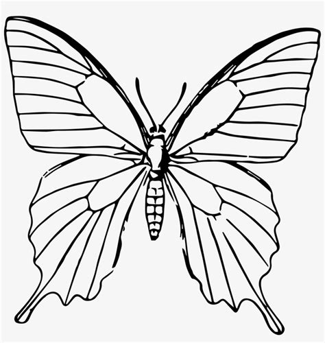 Onlinelabels clip art simple butterfly source: Butterfly Png - Gambar Sketsa Kupu Kupu - 1789x1803 PNG ...