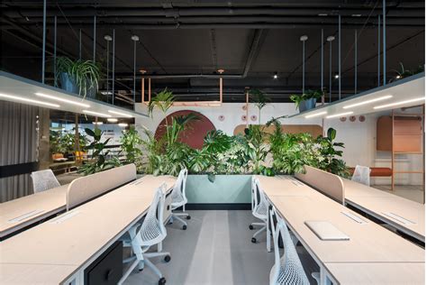 Green Office Greening Trend In The Workplace