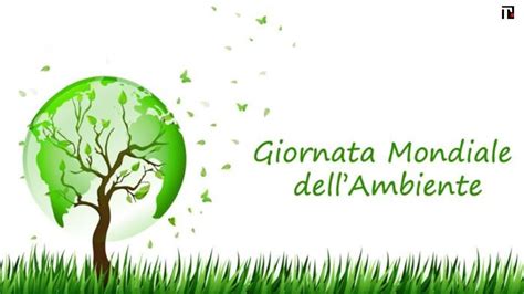 Giornata Mondiale dell Ambiente 2023 tema e perché si festeggia il 5