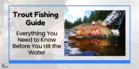 Trout Fishing Guide Everything You Need To Know 2023