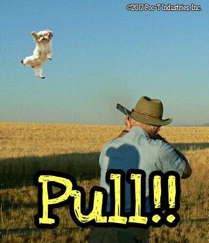 Puppy Skeet Shoot 1 ©poo T Industries Inc Pootie Tang Memes
